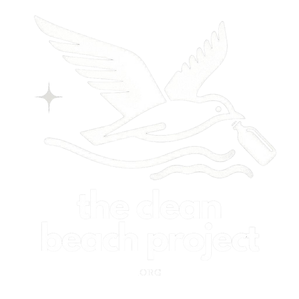 The Clean Beach Project